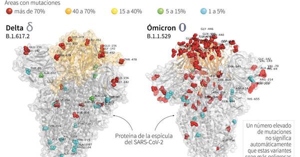 La Nación / Ómicron: primera “foto” de la nueva variante de preocupación