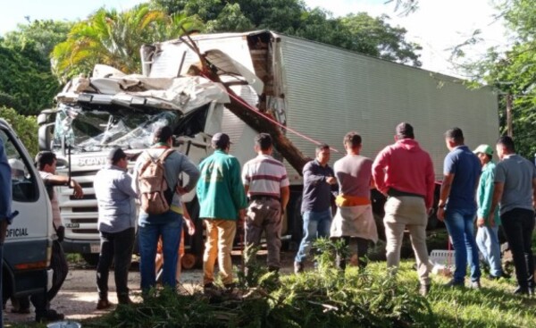 Ramas cayeron sobre varios vehículos durante temporal en Alto Paraná