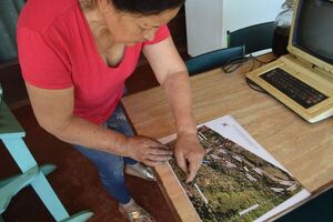 Denuncian a Tirolandia por supuestamente invadir predio vecino - Nacionales - ABC Color