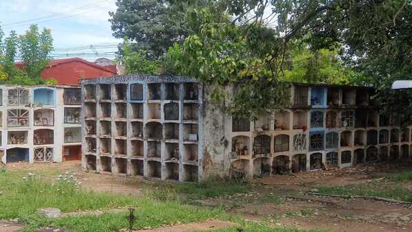 Cementerio de Concepción es clausurado por invasión de abejas