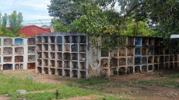 Cementerio de Concepción es clausurado por invasión de abejas