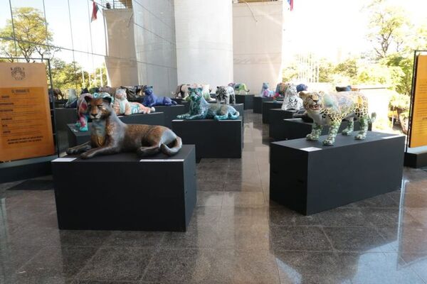 Urgen al Congreso mejorar ley de conservación del jaguareté - Nacionales - ABC Color
