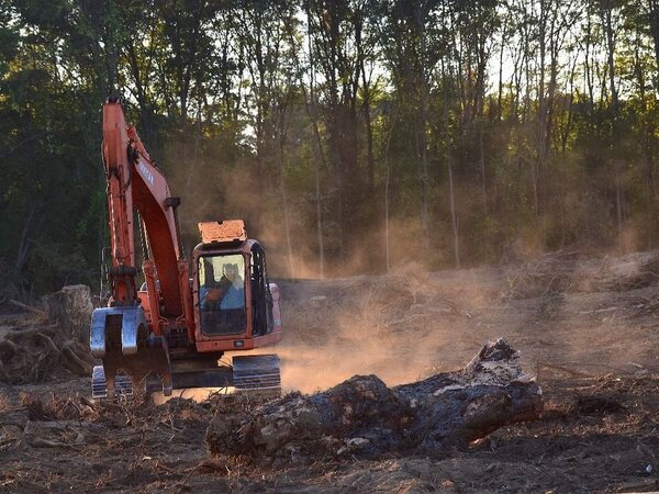 Sojeros de Brasil criticaron el plan de Europa contra la deforestación