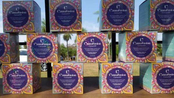 Cannafusion innova con tés a base de cannabis no psicoactivo (ya negocia exportar a mercados externos)