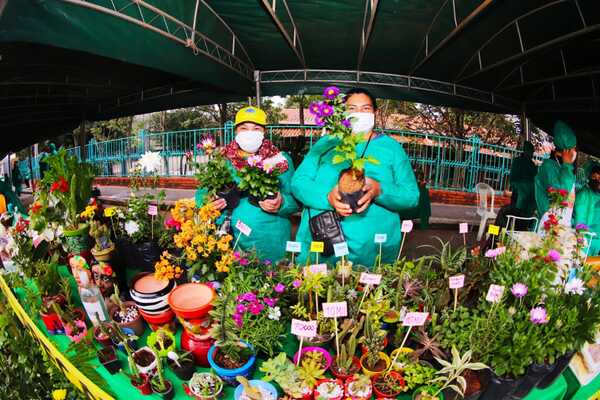 Ferias Añua de la Agricultura Familiar este jueves en Asunción y San Lorenzo - .::Agencia IP::.