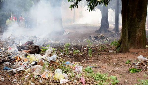 Habilitan una línea para realizar denuncias de delitos ambientales - Noticiero Paraguay
