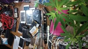 Incautan cocaína, celulares y plantines de marihuana del pabellón de mujeres de Concepción