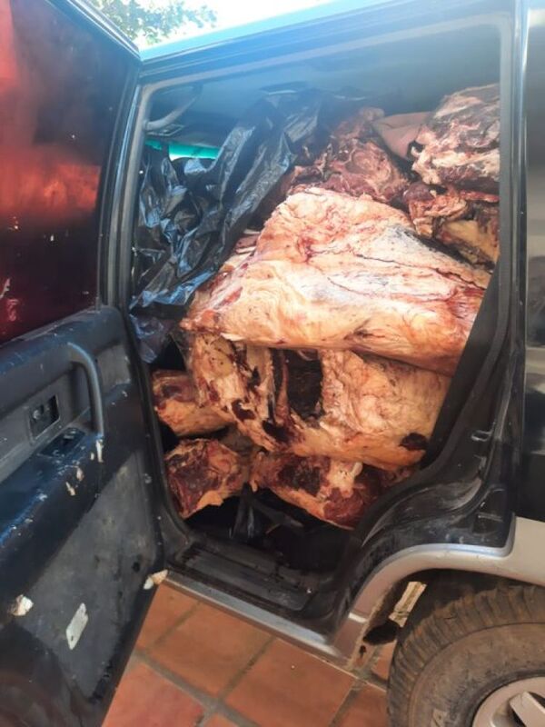 Dos toneladas de carne de contrabando incautan en Puerto Falcón