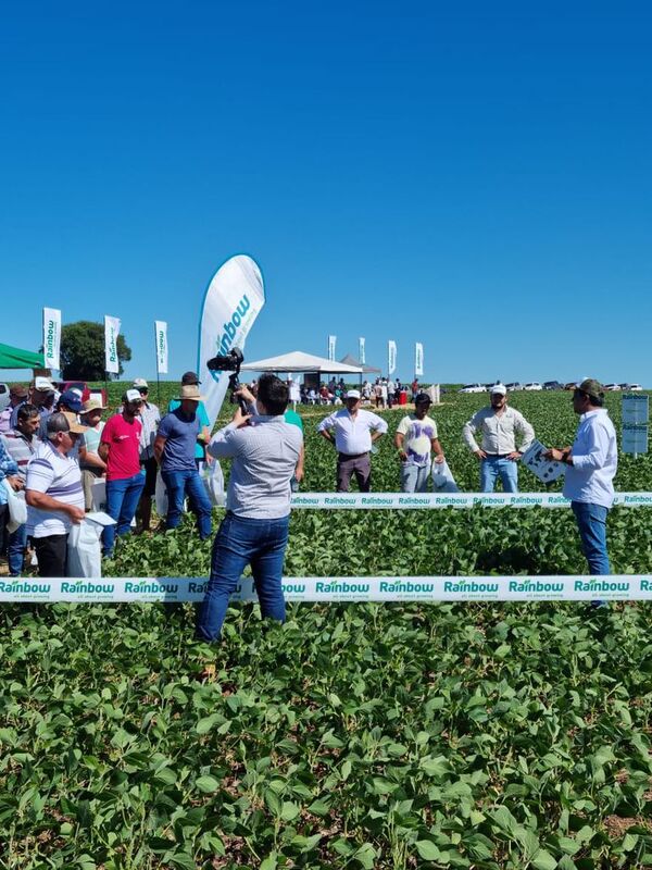 En jornada de campo vieron como se controla el ka’aruru - Nacionales - ABC Color