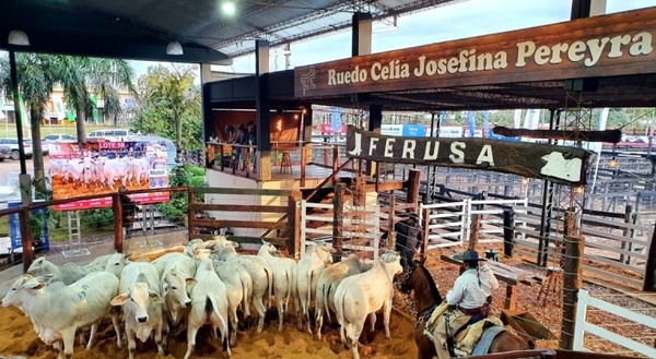 Minerva Foods participó de la 18ª edición Feria de Remates de la Ganadera Alborada