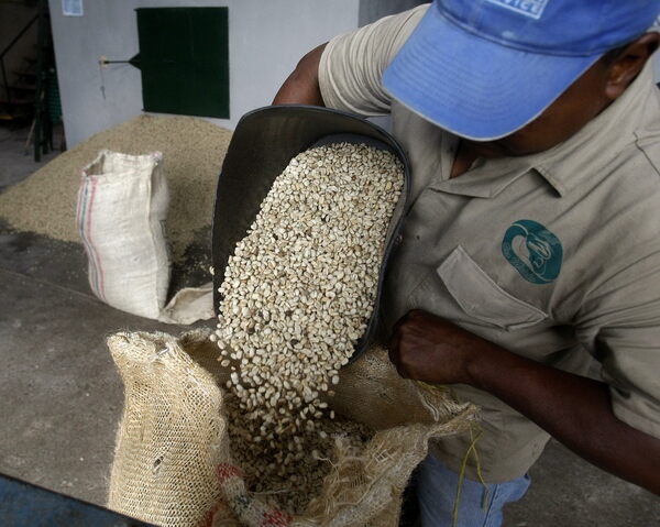 Colombia espera exportar 12,5 millones de sacos de café en 2022 - MarketData