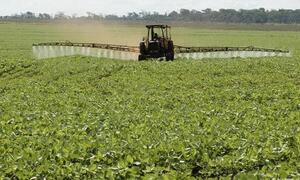 Alto Paraná: Imputan a dueño de plantación de soja por intoxicación de niña de 2 años – Prensa 5