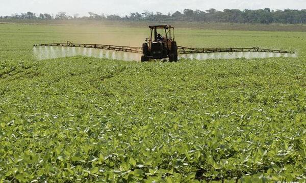 Alto Paraná: Imputan a dueño de plantación de soja por intoxicación de niña de 2 años – Prensa 5