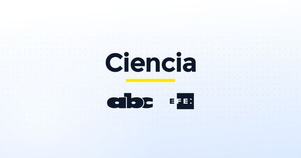 Científicos usan inteligencia artificial para calcular poblaciones de focas - Ciencia - ABC Color