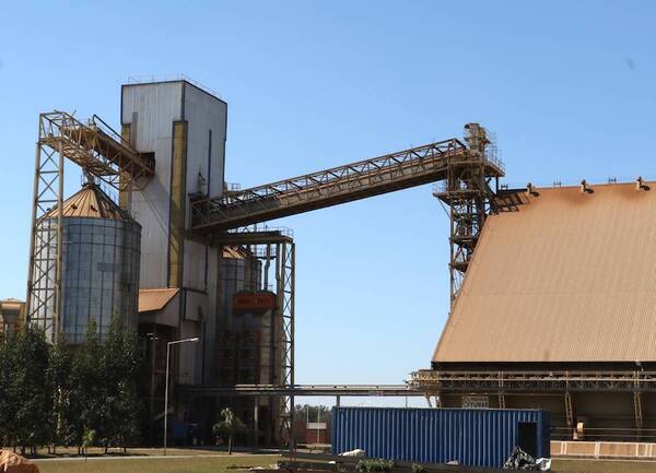 La industrialización de granos experimenta el nivel más bajo desde el 2012, señala la Cappro