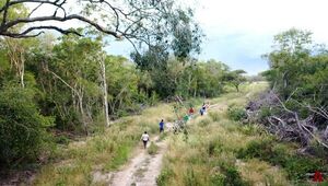 Ayoreos siguen denunciando atropello a sus tierras ancestrales en el Chaco - Noticias del Chaco - ABC Color