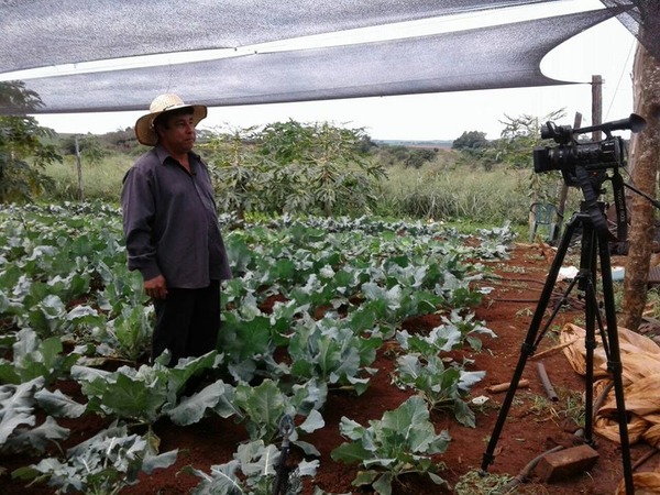 Pequeños productores piden malla de media sombra - Noticde.com