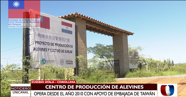 Producción de alevines es todo un éxito gracias a Taiwán