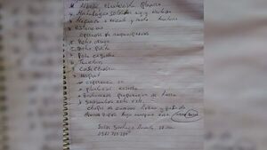 Albañil hizo su currículum a mano y se volvió viral