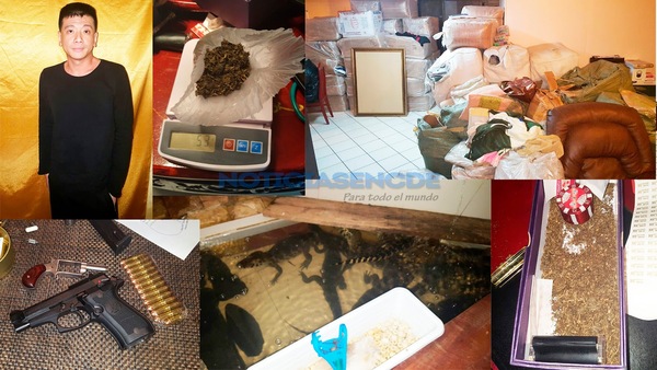 Hallan armas, drogas, pasaportes y cocodrilos en un apartamento céntrico - Noticde.com