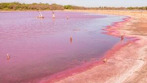 Extraña laguna rosa causa furor en el Chaco