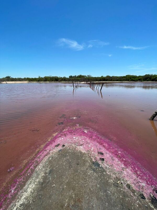 Llamativo fenómeno: laguna en Isla Po’i se tiñe de rojo en el Chaco - Noticias del Chaco - ABC Color