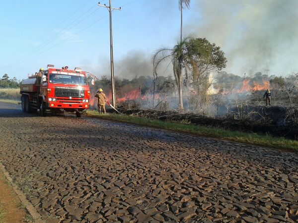 Desconocidos provocaron incendio en una reserva natural - Noticde.com