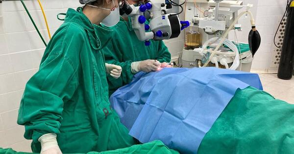 Luego de un año, mujer de 72 años recibió un trasplante de córnea