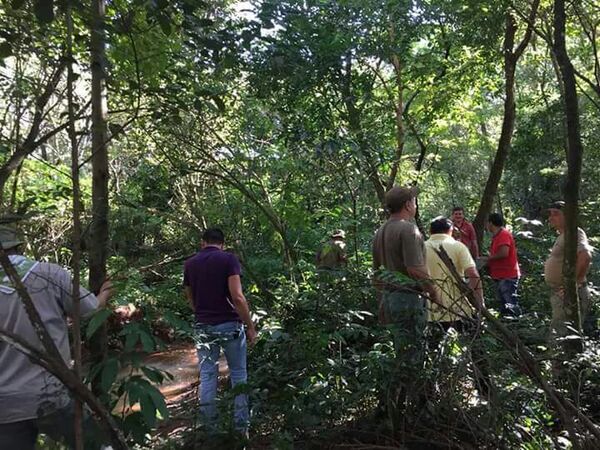 Sigue búsqueda de puma en la zona del Área 1 - Noticde.com