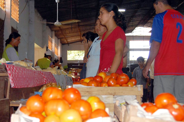 Pese a sequía, hortigranjeros mantienen buen nivel producción - Noticde.com