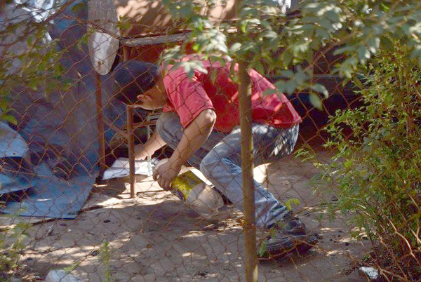 Destruyen 60 mil criaderos del dengue - Noticde.com