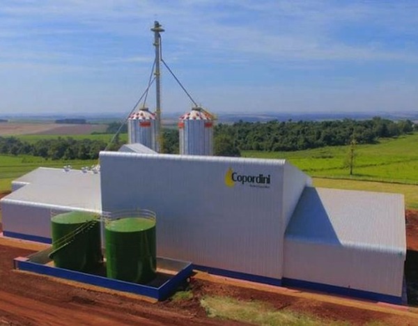En Naranjal se inauguró fábrica de aceite y harina de canola - Noticde.com