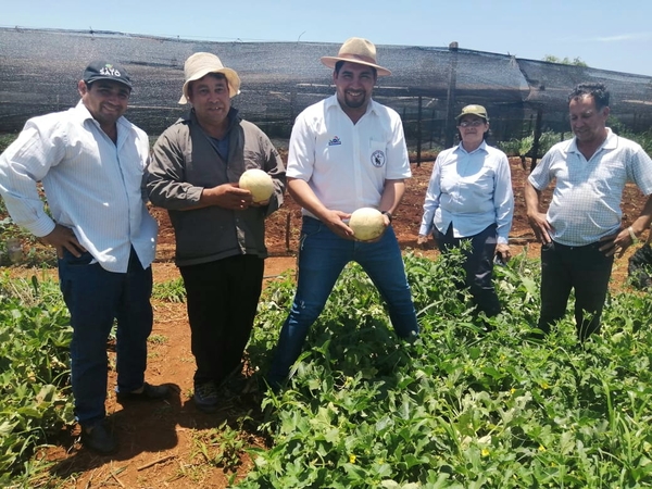 Productores hortigranjros necesitan mayor atención del gobierno central - Noticde.com