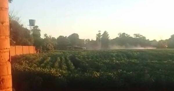 La Nación / Niña, intoxicada tras rociado de cultivo