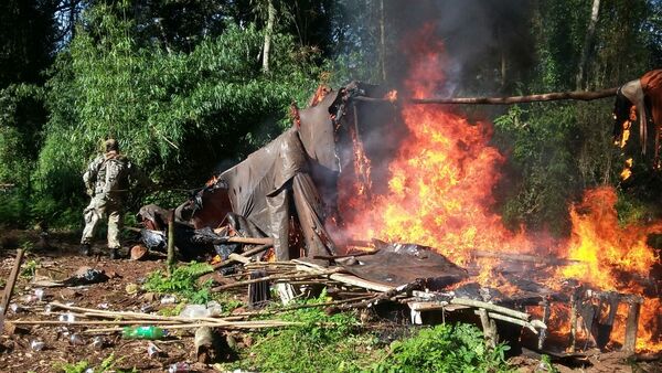 La SENAD destruye toneladas de marihuana tras recio tiroteo con narcos - Noticde.com