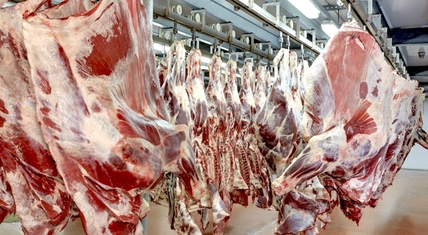 Paraguay exportó más de 302.393 toneladas de carne bovina de enero a noviembre del 2021