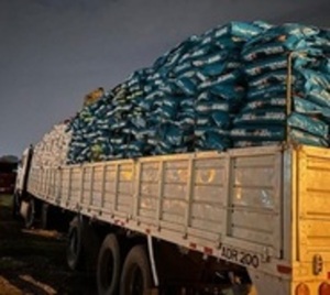 Decomisan toneladas de alimento para perros en Vista Alegre - Paraguay.com