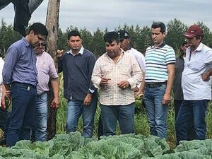 Feriante transmitirá experiencia a productores de Santa Rita y Minga Porã - Noticde.com