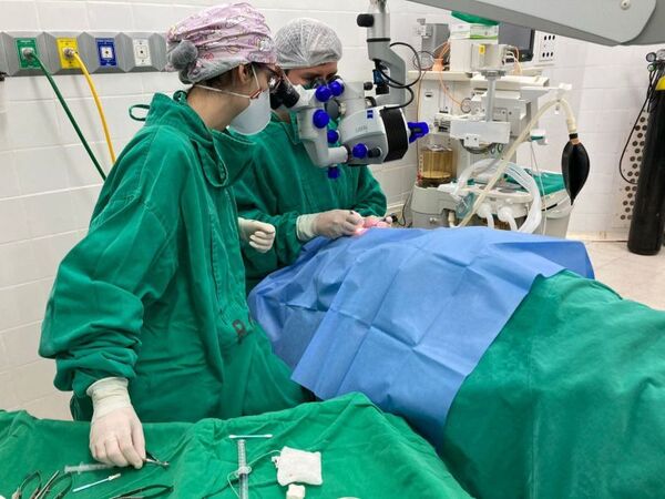 Realizan el quinto trasplante de córneas en lo que va del año en el Hospital de Clínicas