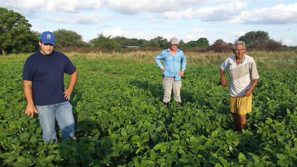 Familias indígenas del Chaco progresan mediante cooperación comunitaria