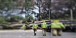 30 mil casas británicas sin electricidad tras tormenta
