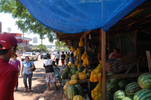 Frutas de estación toman la plaza Las Residentas - Noticde.com