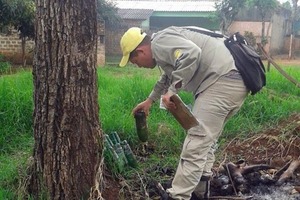 Senepa inicia levantamiento de índice de infestación de mosquitos - Noticde.com