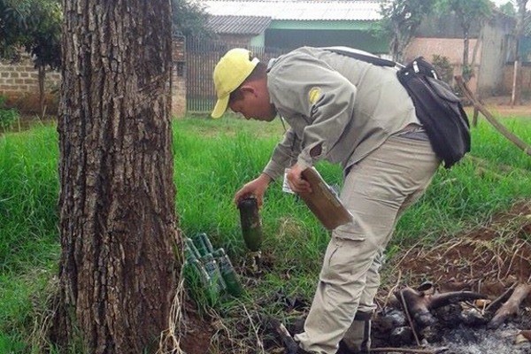Senepa inicia levantamiento de índice de infestación de mosquitos - Noticde.com
