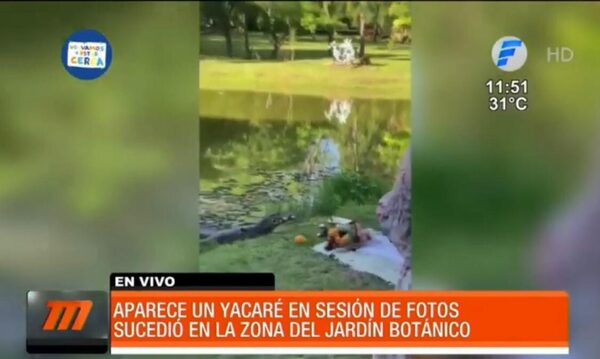 Viral. Yacaré apareció en plena sesión de fotos | Telefuturo