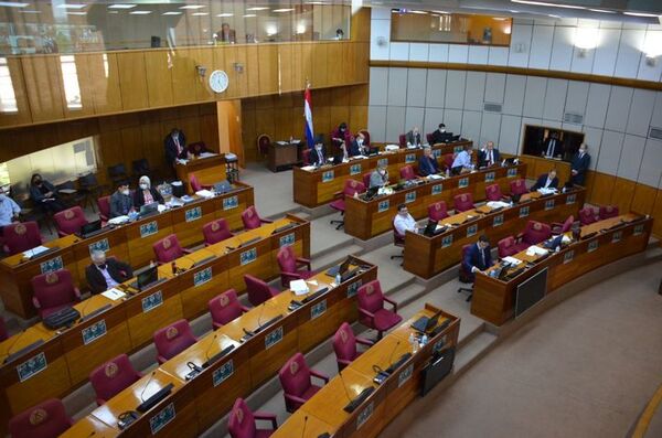 Senado da media sanción a polémico proyecto sobre servicio diplomático