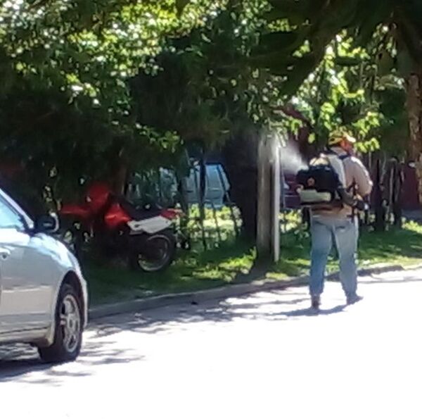 Realizarán minga ambiental en Pilar ante aparición de casos sospechosos de dengue - Nacionales - ABC Color