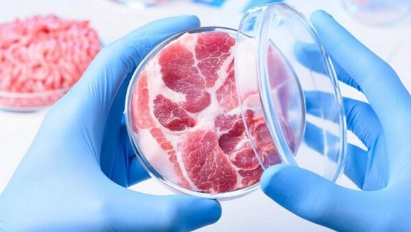 Aprueban proyecto que prohíbe llamar "carne" a productos artificiales o vegetales