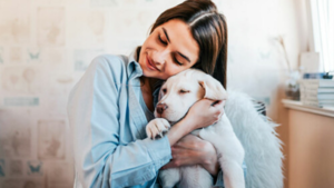 España aprueba una ley para que los animales dejen de ser considerados cosas