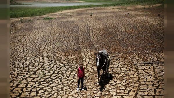 La economía de Brasil se frena y entra en recesión